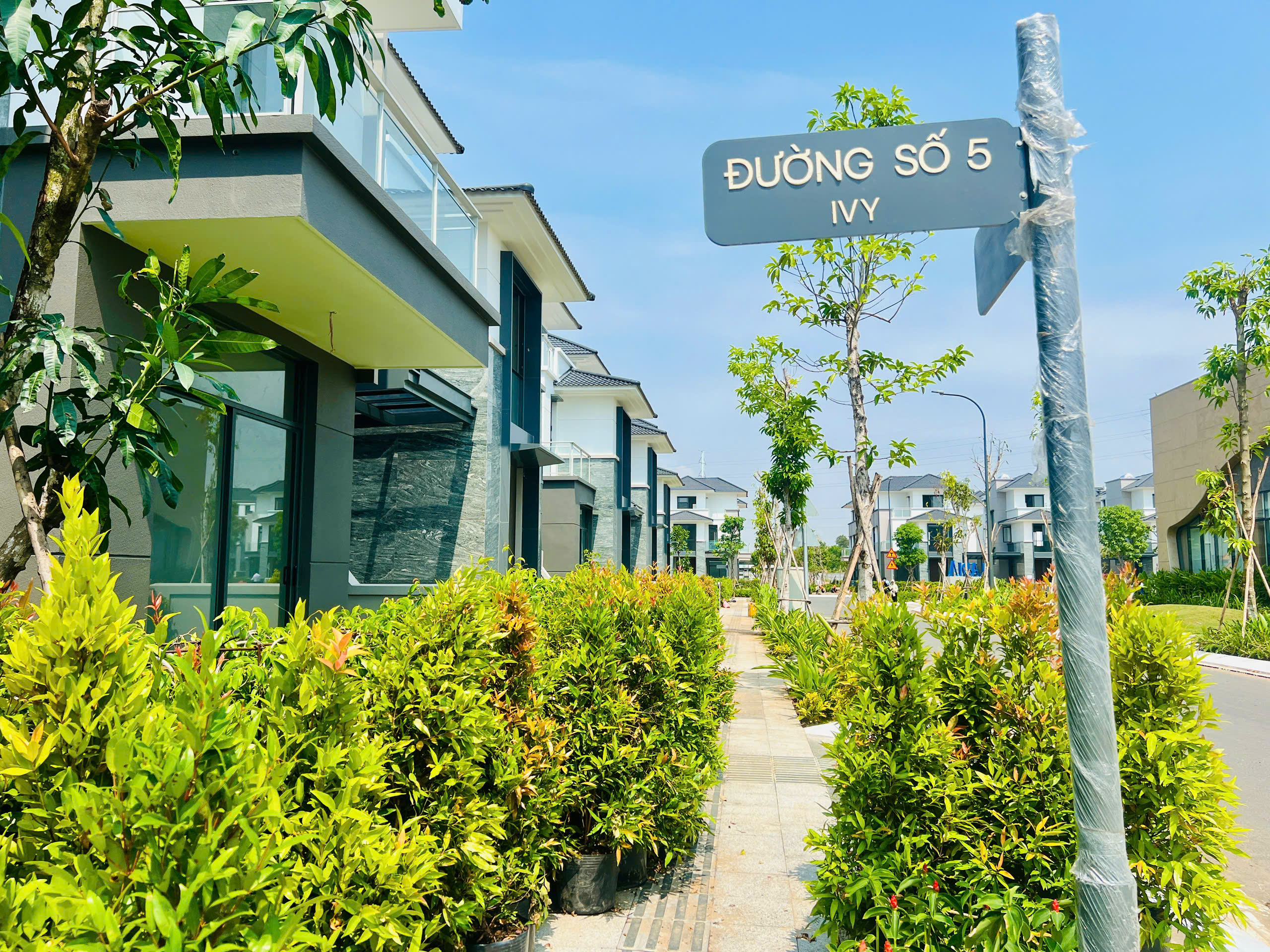Lối đi bộ dự án Gladia